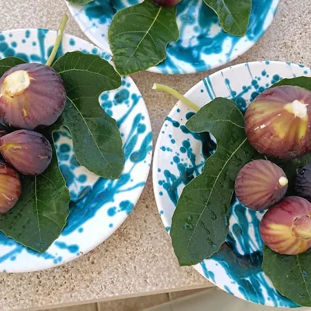 Masseria Ella Alojamento de Acomodação e Pequeno-almoço Pulsano