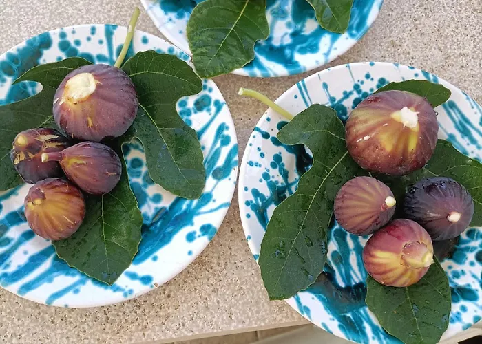 Masseria Ella ベッド・アンド・ブレックファスト プルサーノ